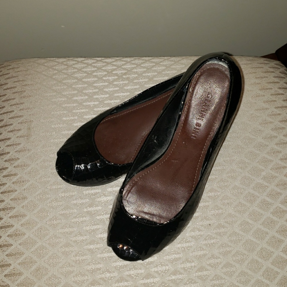 Patent black wedge